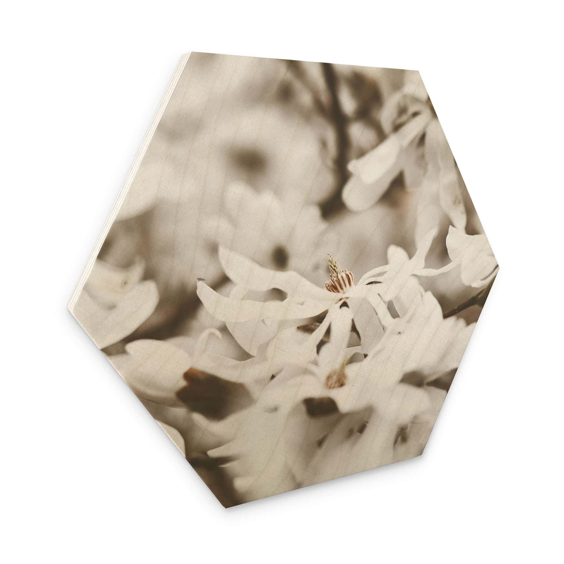 Esagoni in legno Annie - Jasmin