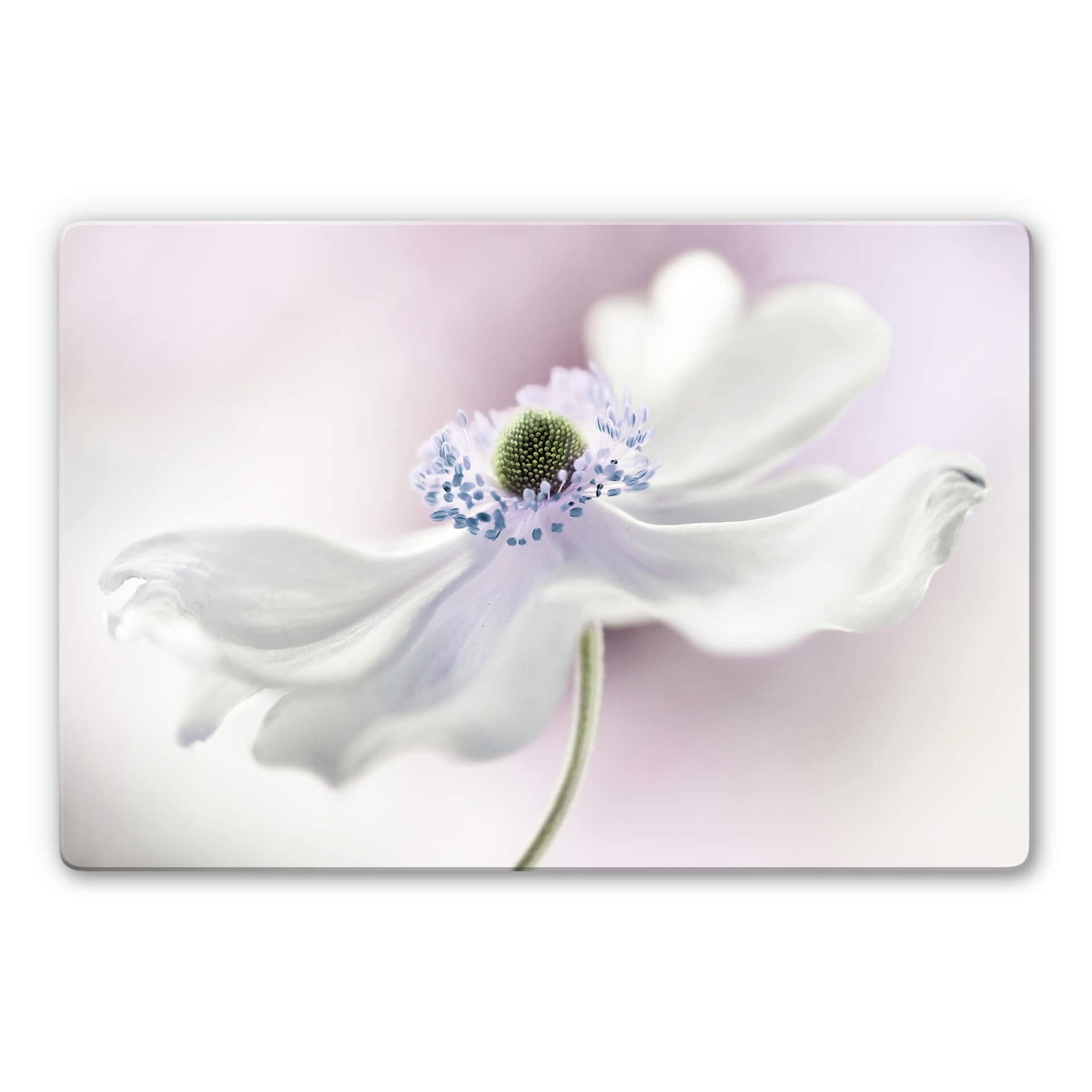 Glasbild Disher - Anemone Breeze