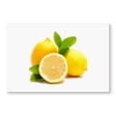 Pannello paraschizzi - Limoni