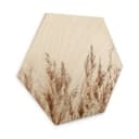 Esagono in legno - Erbe