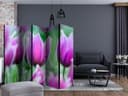 Divisorio - Tulipani primaverili viola, 3 pezzi