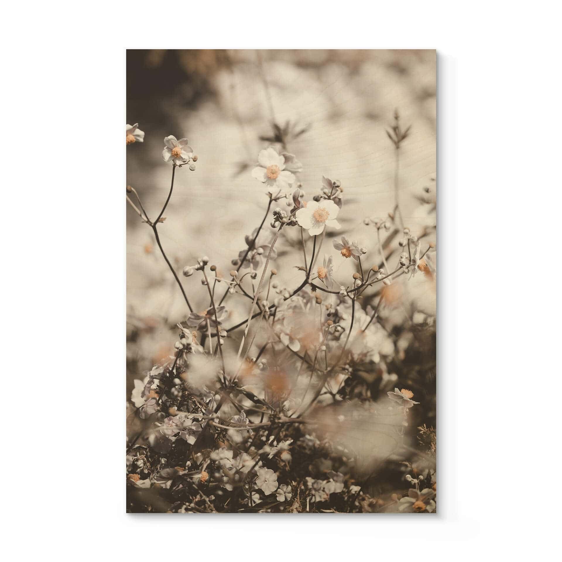 Stampa su legno Annie - Fiori selvatici
