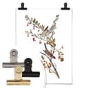 Poster Due passeri
