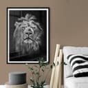 Poster - Leone