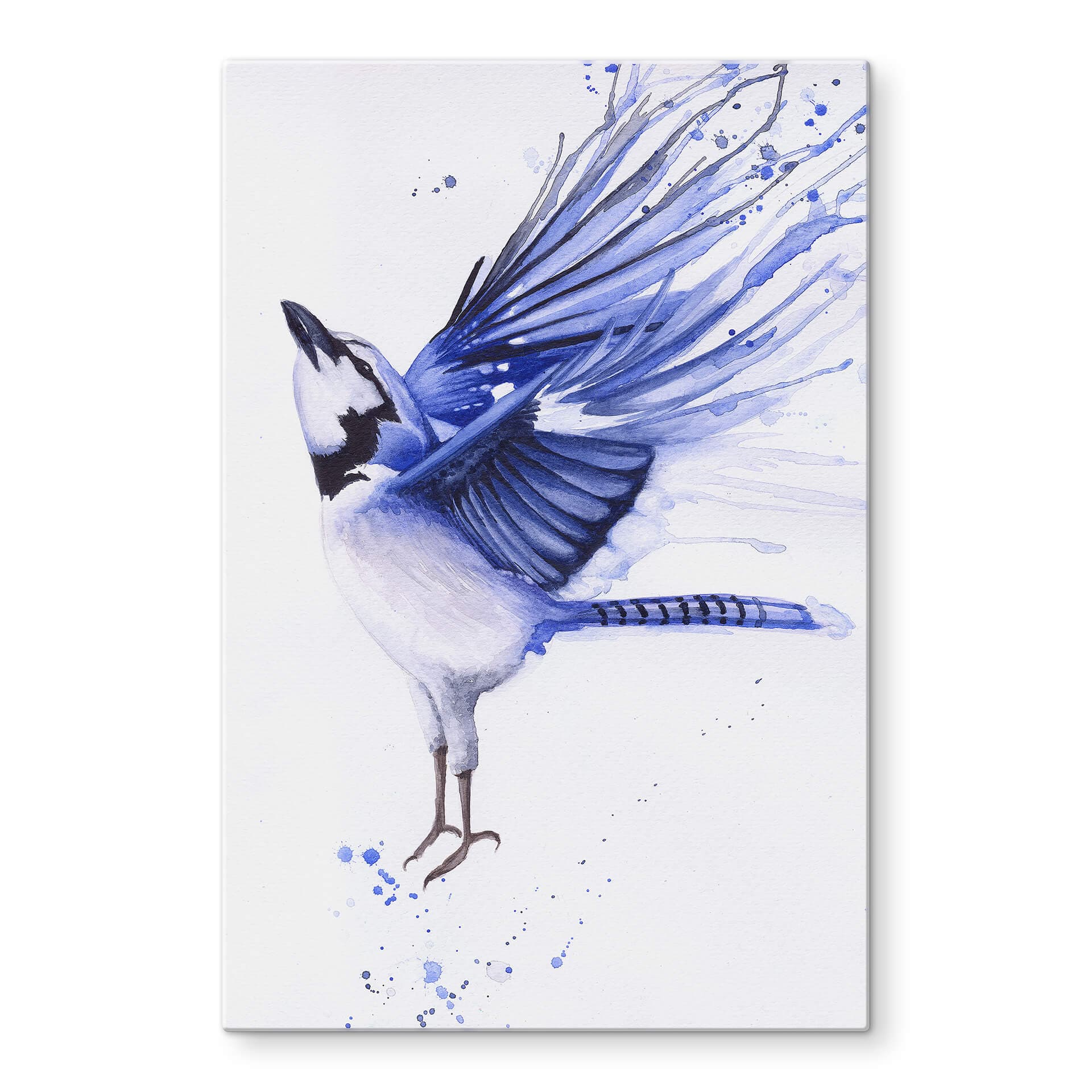 Glasbild Müller - Blaumeise