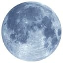 Adesivo murale - Luna piena