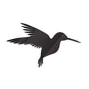 Decoro in acrilico - Colibrì