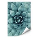 Stampa murale Agave 02