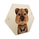 Esagono in legno Braun - Quokka