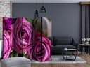 Paravento - Bouquet di fiori di giglio, 5 pezzi - 225x172 cm