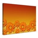 Orange Flowers
