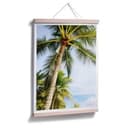 Poster - Palme 07