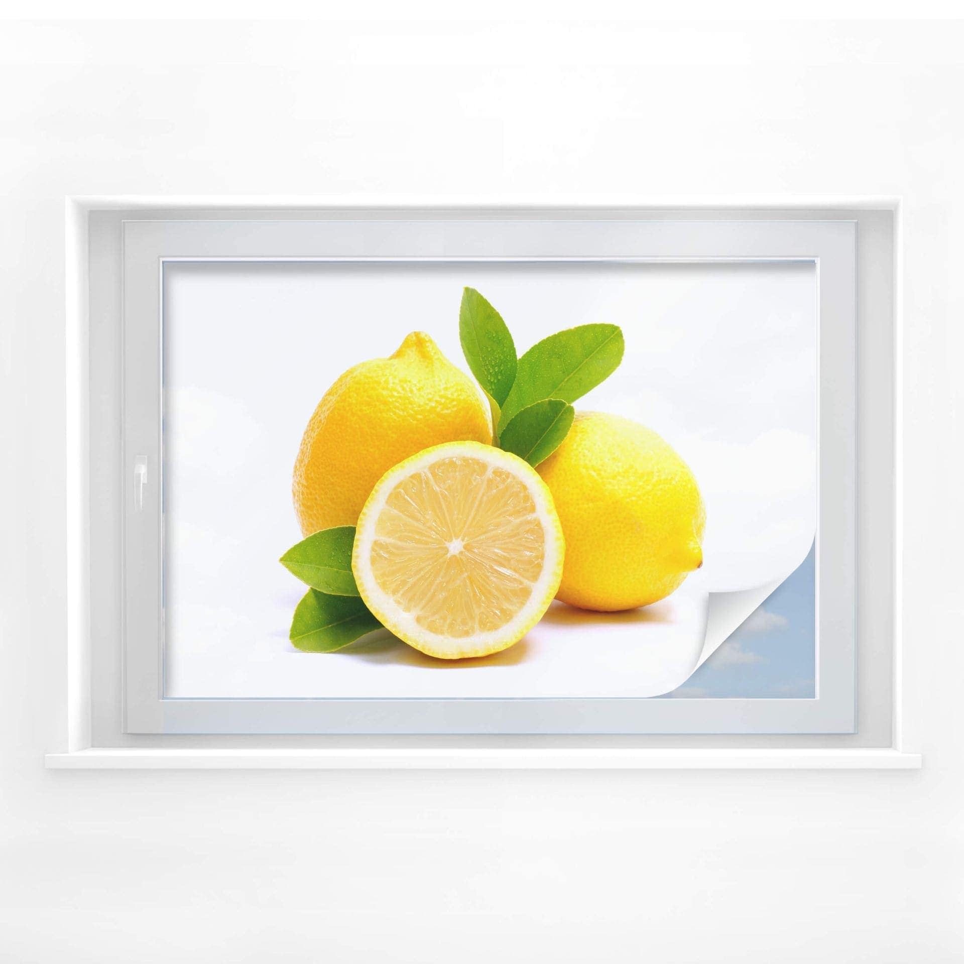 Pellicola adesiva per vetri - limoni