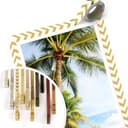 Poster - Palme 07