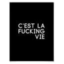 Poster C'est la fucking vie