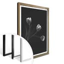 Poster Pan - Tulipani