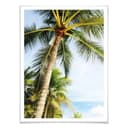 Poster - Palme 07