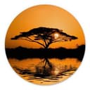Stampe per pareti Africa | Paesaggio romantico per il soggiorno - Alu-Dibond Round