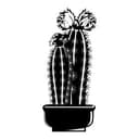 Adesivo murale - Cactus 4