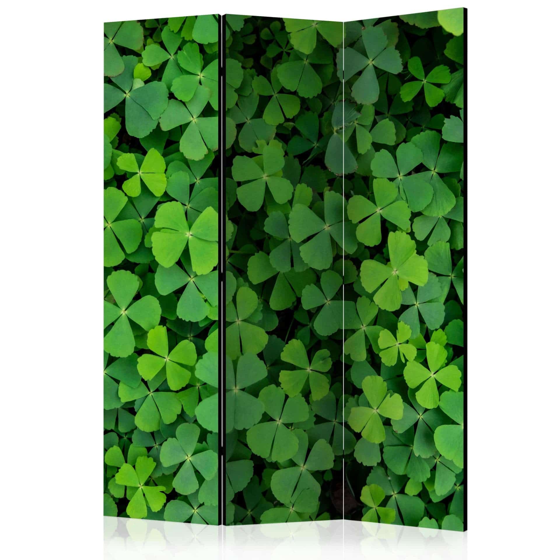 Schermo divisorio - Trifoglio verde, 3 pezzi