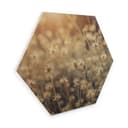 Esagoni legno Mexican Daisy