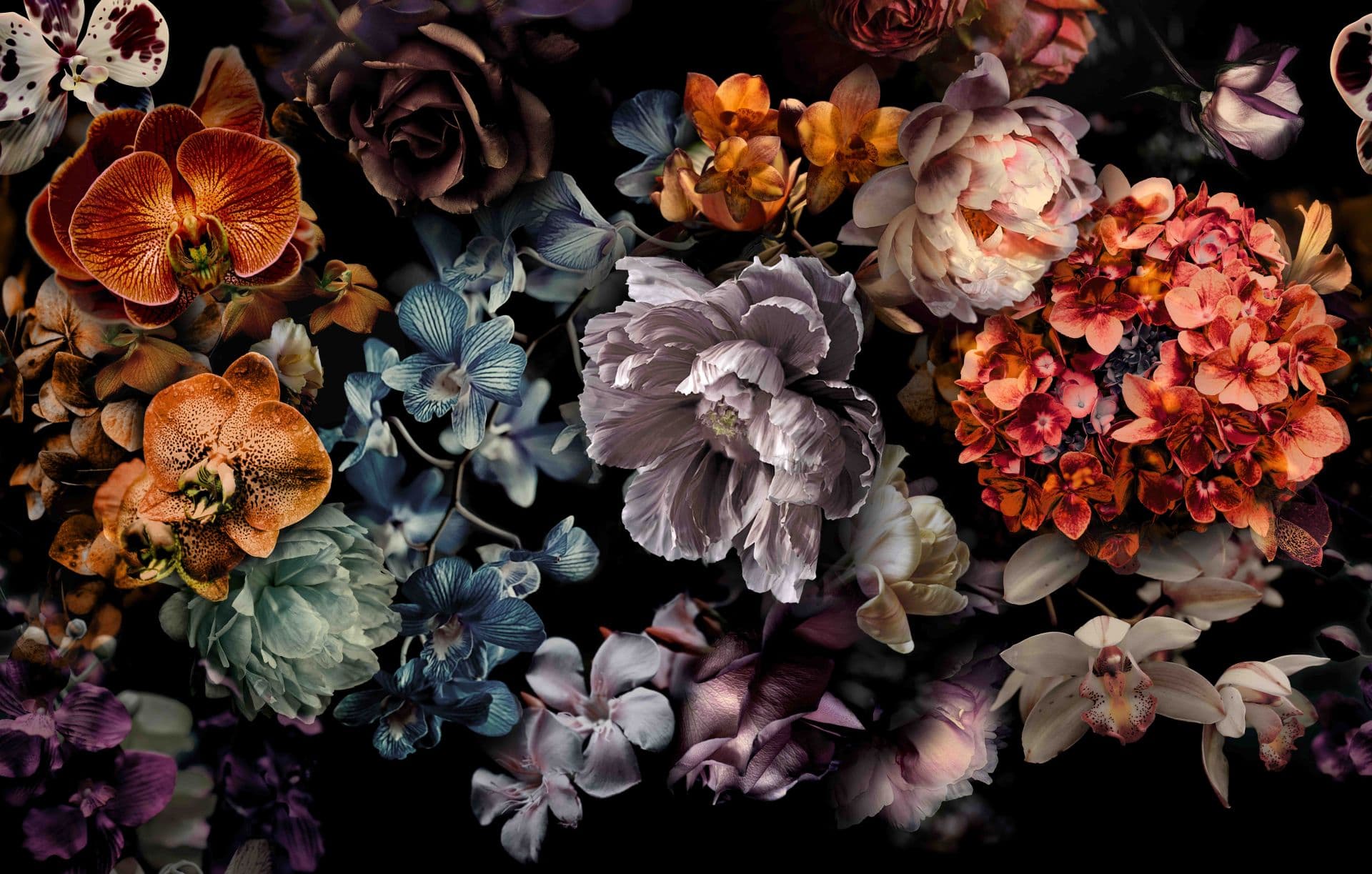 Fotomurale scuro Natura morta floreale con orchidee, ortensie e peonie 2,7 x 4,24 m