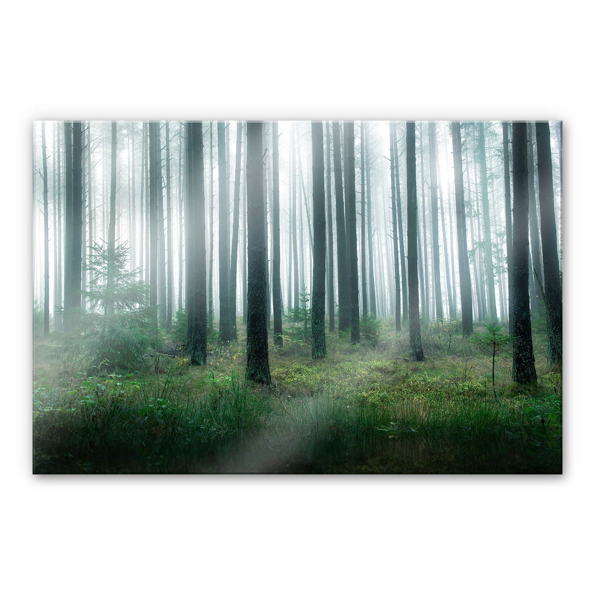Stampa su vetro acrilico Lindsten - Nella foresta