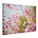 Stampa su tela - Cherry Blossoms