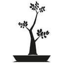 Adesivo murale - Bonsai