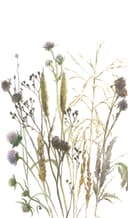 Fotomurale fiori, foglie natura floreale opaco in bianco, beige 2,70 x 1,59m