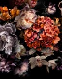 Fotomurale con motivo floreale scuro bouquet di fiori in nero con orchidee 2,7 x 2,12 m