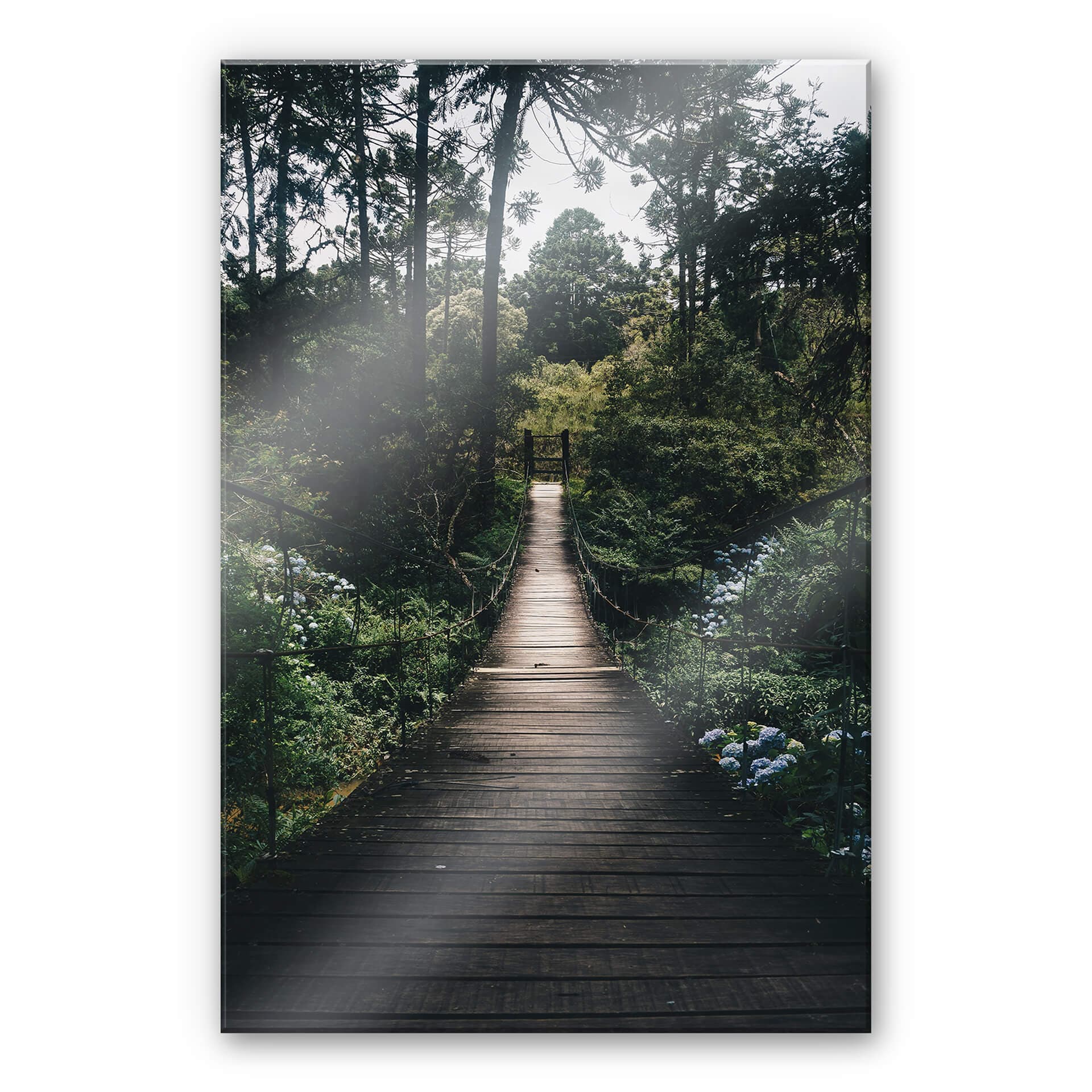 Stampa su vetro acrilico di un'immagine del sentiero forestale