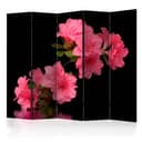 Schermo divisorio - Azalea nera, 3 pezzi