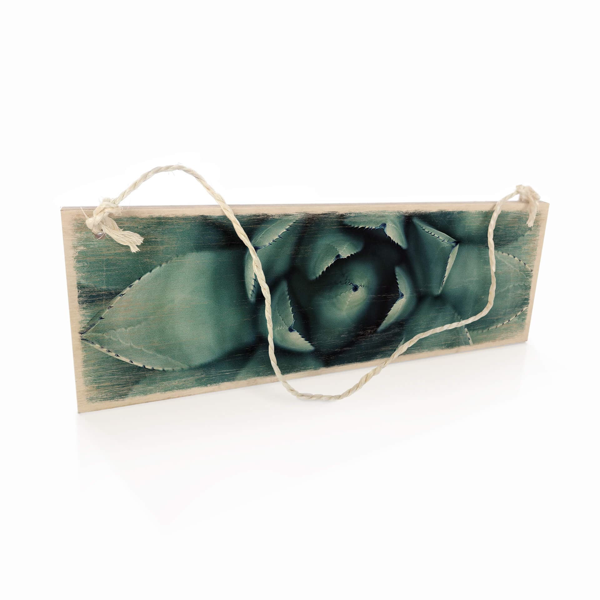 Targa in legno - Agave 02