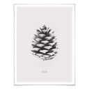 Poster - Pigna