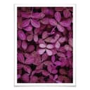 Poster Foglie rosa