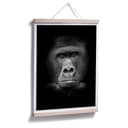 Poster - Gorilla