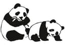 Adesivo murale - Orsetti panda