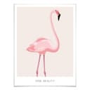 Poster Pink Beauty - Flamingo