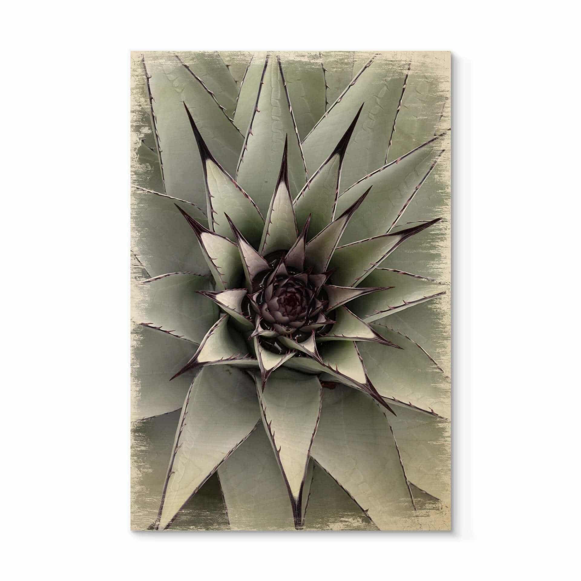 Stampa su legno - Agave 01