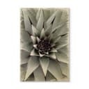Stampa su legno - Agave 01