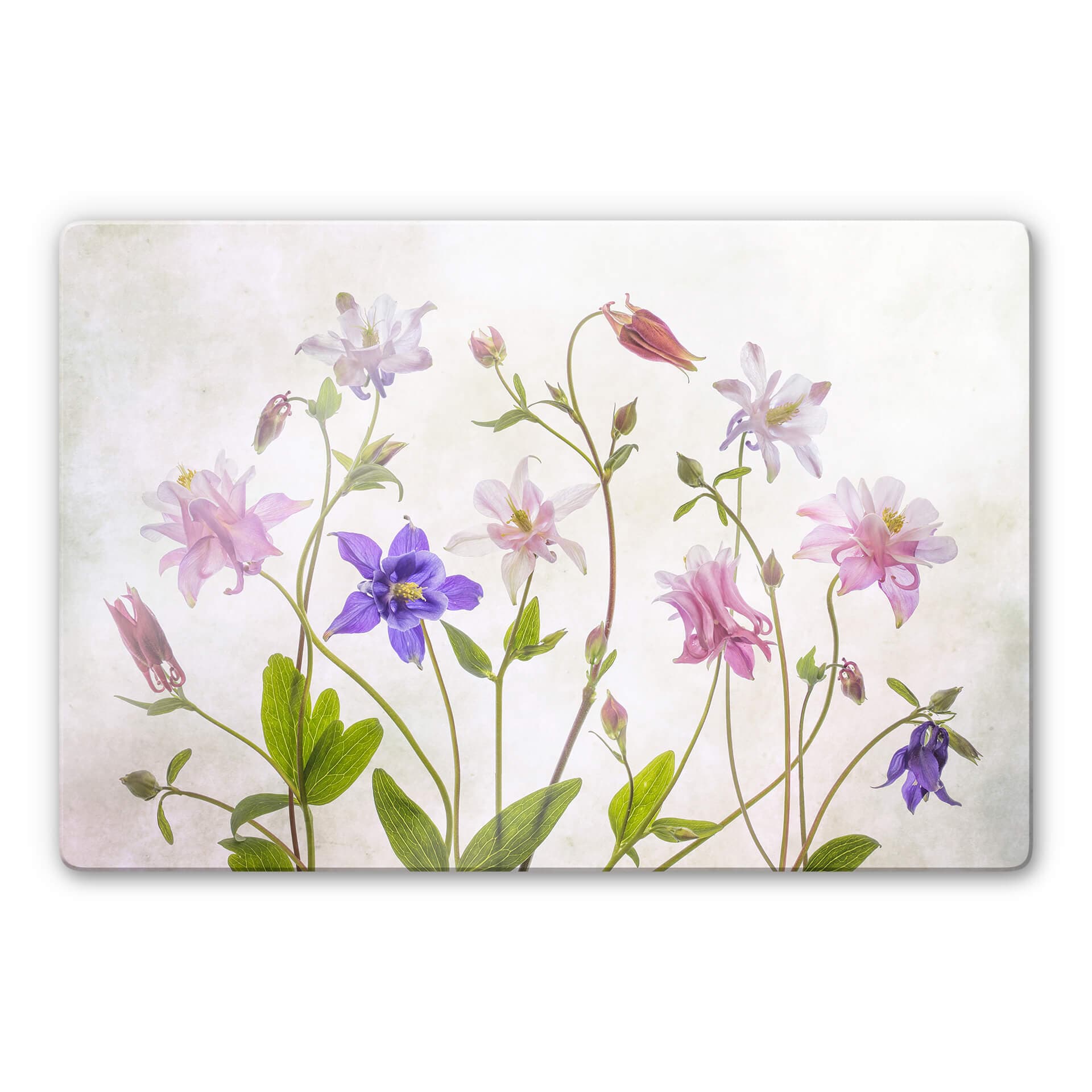 Stampa su vetro Disher - Bouquet
