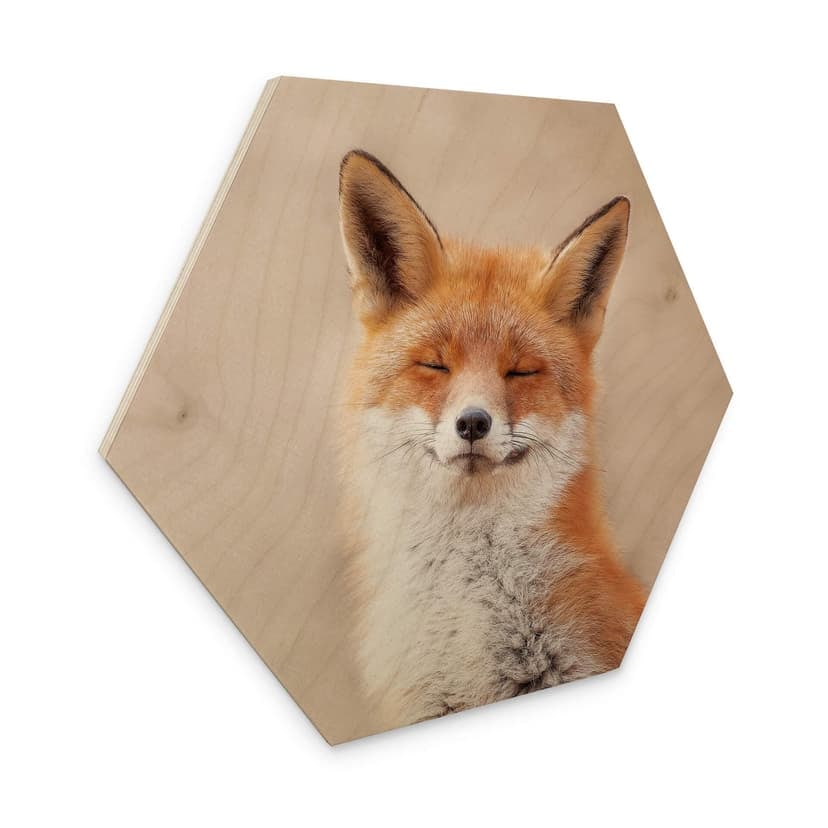 Esagono in legno van Duijn - Volpe