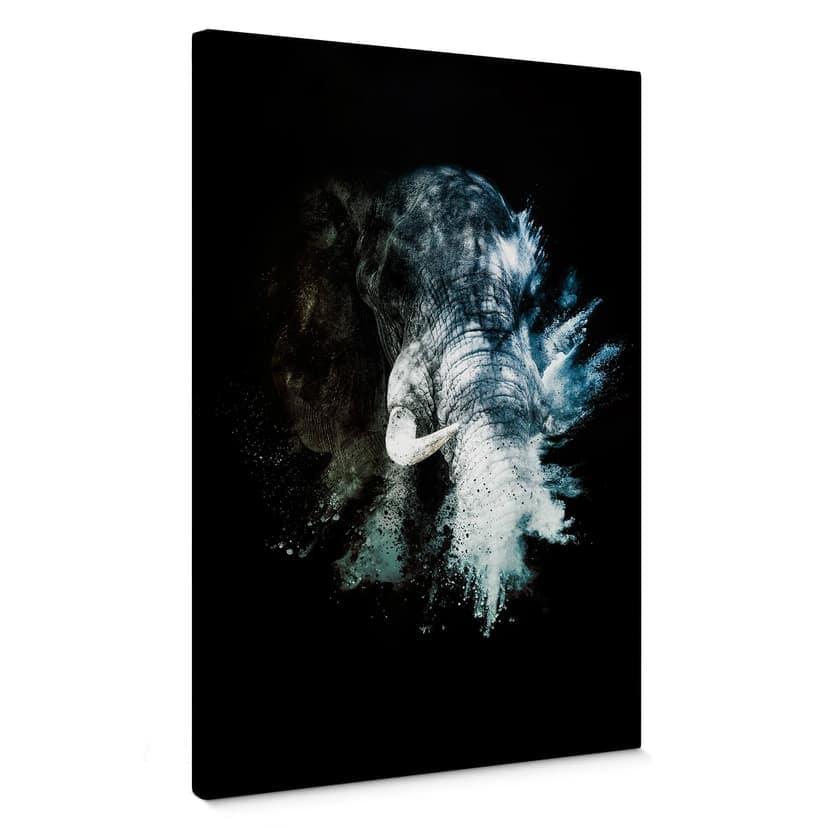 Stampa su tela Hugonnard – Wild Explosion: Elefante