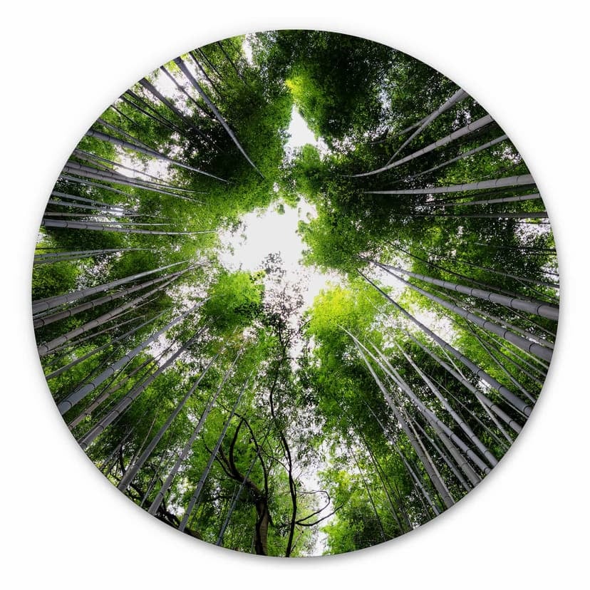 Alu-Dibond Hugonnard - Foresta giapponese