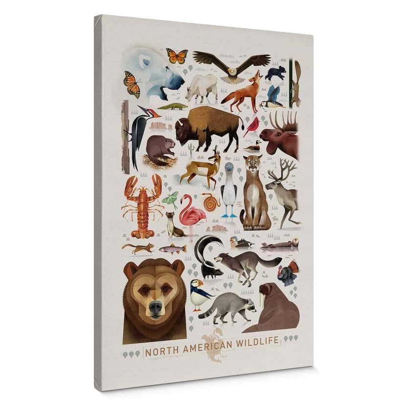 Stampa su tela Braun - North American Wildlife