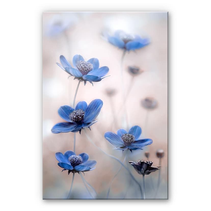 Stampa su vetro acrilico Disher - Blue Cosmos