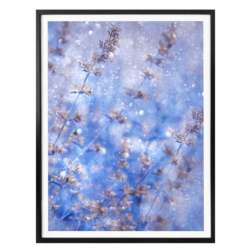 Poster Devos - Invernale