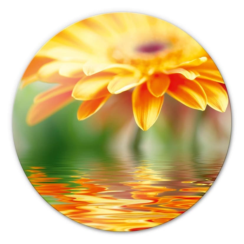 Stampa su vetro - Gerbera riflessa - tondo