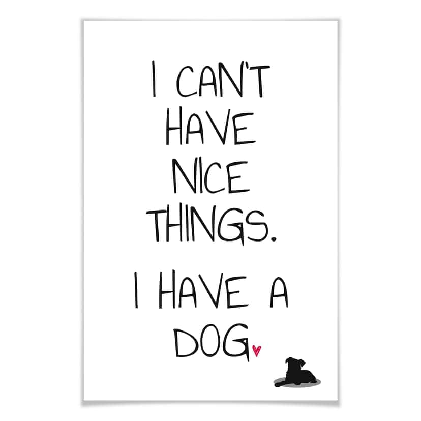 Poster - I can't have nice Things - Dog